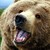 :icontheg90: