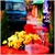:iconthegarden: