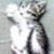 :iconthegatiko: