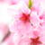:iconthegirlinthewillow: