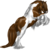 :iconthegoddessepona: