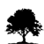 :iconthegoldenratio: