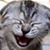 :iconthegreatgeneral: