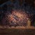 :icontheguardianofnight: