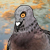 :iconthehappypigeonclub: