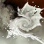 :iconTheHaps: