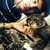 :icontheheartwoodstudio: