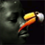 :icontheheightofunfashion: