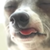 :iconthehollow-heartedmen: