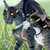 :iconthehungarianskillet: