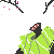 :iconthehuntersskin: