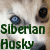 :iconthehuskylover:
