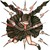 :iconthehypernoodle1212: