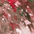 :icontheillustratorkids:
