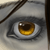 :icontheimagecrafter: