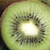 :icontheinfamouskiwi: