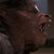 theinnerbeast :icontheinnerbeast: