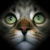 :iconTheInsaneConscience: