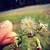 :iconthejanaea: