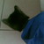 :iconthejuff: