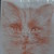 :iconthekatzensprung: