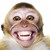 :iconthekior: