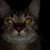 :iconthekittengrenade: