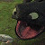 :iconthekittyspit: