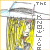 :icontheknowlage: