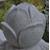 :iconthekoop: