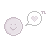 :iconthelabrador: