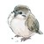 :icontheladyofyourdream: