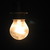 :iconthelamplighter: