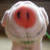 :iconthelandlady: