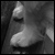 :iconthelantern: