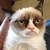 :iconthelastlogicperson: