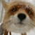 :iconthelastofthekitsune:
