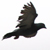 :iconthelastphoenix: