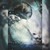 TheLaughingFerret :iconthelaughingferret: