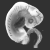 :iconthelefthand: