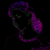 :iconthelegendhimself: