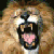 :icontheli0nqueen: