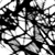 :iconthelifeproject: