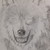 :iconthelightningheart:
