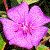 :iconthelightwithin: