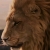 :iconTheLionHearted:
