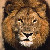 :iconthelionplz: