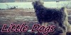 :iconthelittledogs: