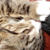 :iconthelittleone-stock:
