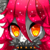 :iconthelittleststar: